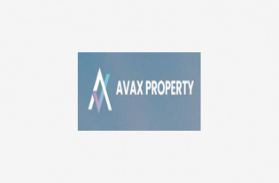 Avax Property