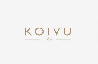 Koivu