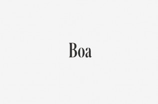 Boa