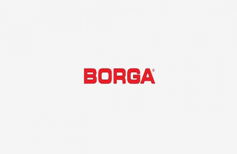 Borga