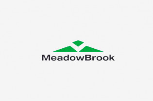 MeadowBrook