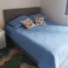 Квартира студия 41 кв. метр в ЖК ROYAL SUN RESIDENCE в Искеле, Фамагуста, Северный Кипр