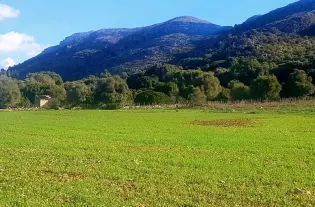 Земельный участок в Алькудия, Майорка, Испания