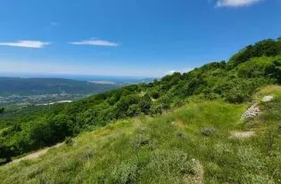 Недвижимость в Черногории