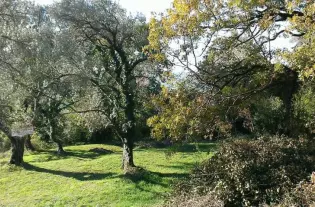 Недвижимость в Черногории