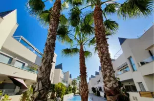 Комфортабельное бунгало в популярном районе в городе Торревьеха - IS5985