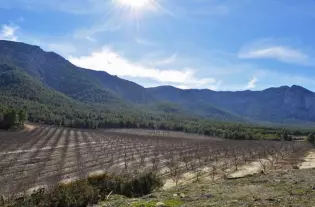 Роскошная горная усадьба в природном парке Sierra Espuña, Murcia - CRO6548