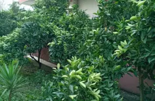 Квартира с одной спальней в Баре