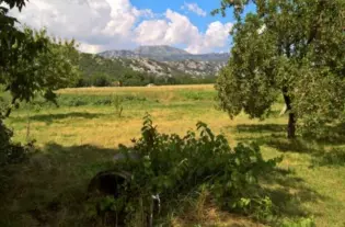 Земельный участок под элитную застройку в Никшиче