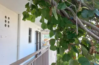 Квартира в Столиве с видом на море