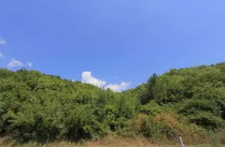 Участок в Радановичи