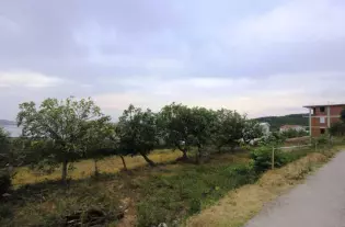 Участок в Шушань