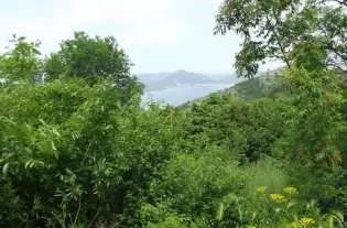 Участок в Близикуче