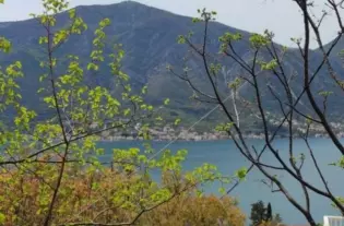 Участок в городе Котор