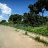 Большой участок под застройку в городе Dehesa de Campoamor - MT6578