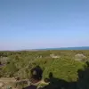 Квартиры