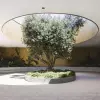 Квартиры