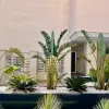 Виллы