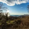 Земельный участок 2170 м² в Куляче