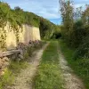 Участок в Радановичах 1463 м²