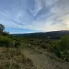 Участок в Радановичах 1463 м²