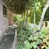 Дом с двориком и подъездным участком в Белиши