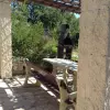 Две Виллы в Кримовице с бассейнами и большим участком