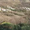Участок в Близикуче, Свети Стефан, Будва