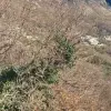 Участок в Близикуче, Свети Стефан, Будва