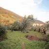 Участок в Петроваце