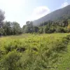 Участок в районе Суторина, Херцег Нови