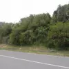 Участок в Дженовичи