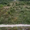 Участок в Гошичи