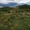 Участок в Гошичи