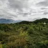 Участок в Гошичи