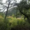 Участок в Марковичи