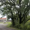 Участок в Марковичи