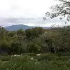 Земельный участок в поселке Радовичи