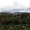 Земельный участок в поселке Радовичи