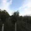 Участок в районе города Херцег Нови