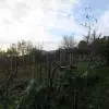 Участок в районе города Херцег Нови