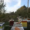 Участок в районе города Херцег Нови