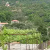 Участок в Которе