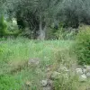 Участок в Которе