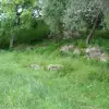 Участок в Которе