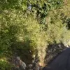 Участок в Которе