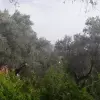 Участок в Будве