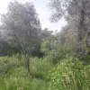Участок в Будве