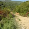Участок в Кути