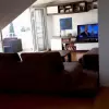 Пентхаус в Дженовичи